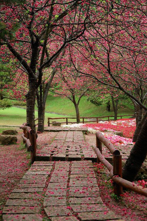 clauvargas2909's tweet image. A veces en el camino lo mejor es perderse. #BuenViernes #ViernesDeGanarSeguidores