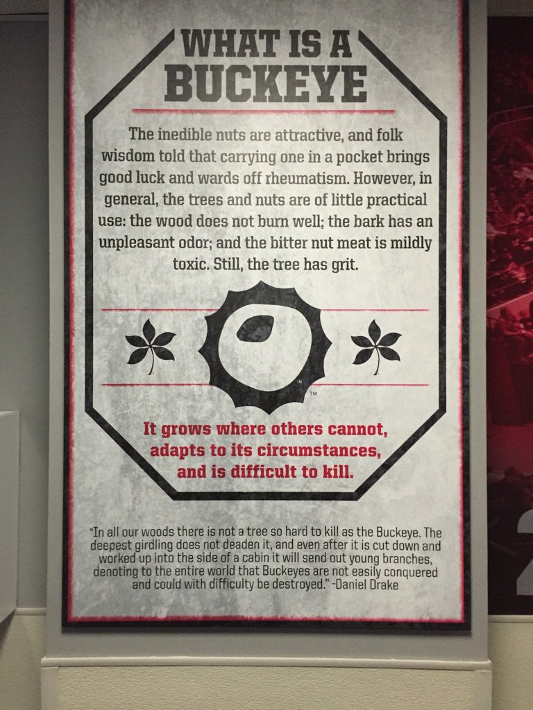 trenchinky's tweet photo. @wrestlingbucks https://t.co/xdZWb7Dyu5