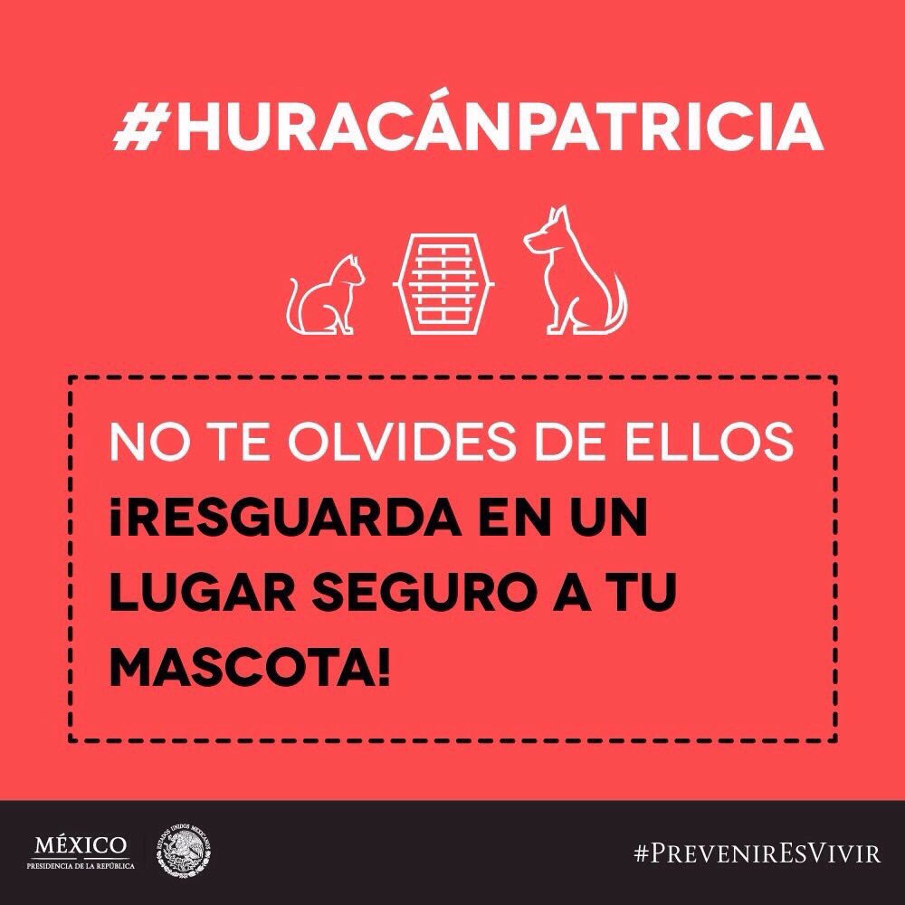 letswatch_mag's tweet photo. Resguarden a sus mascotas en un lugar seguro, es necesario mantenerlos a salvo. #HuracánPatricia 💖🐴🐓🐈🐖🐕 https://t.co/eHkBHrSPpT