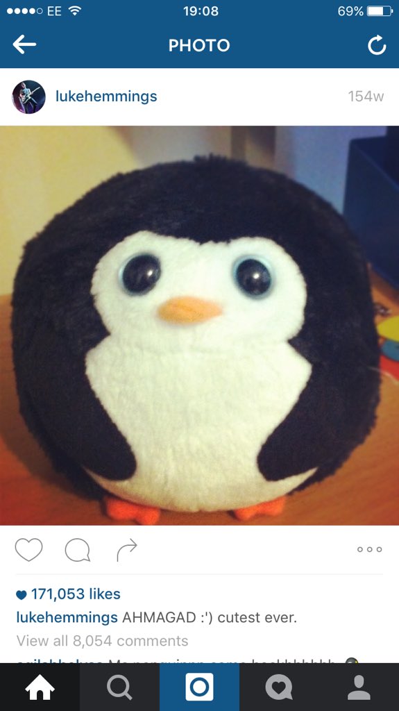 affairlrh's tweet photo. remember when u were a penguin LOL ! @luke5SOS #RIPLUKEISAPENGUIN https://t.co/x177GCXUa8