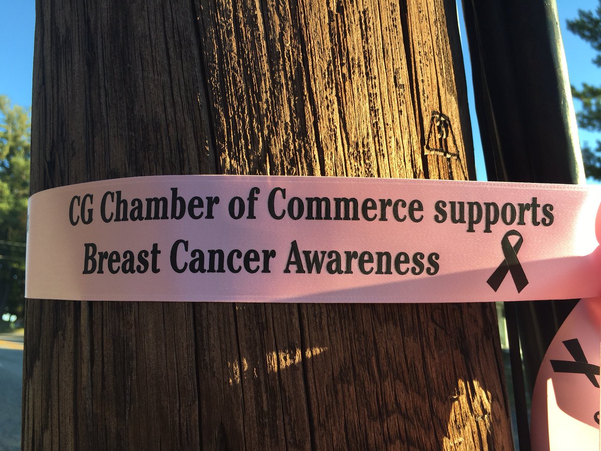 VCG_Times's tweet photo. Have you seen the pink ribbons around Cedar Grove? The @CGChamberComm put them up for #BreastCancerAwarenessMonth https://t.co/2liybjAc81