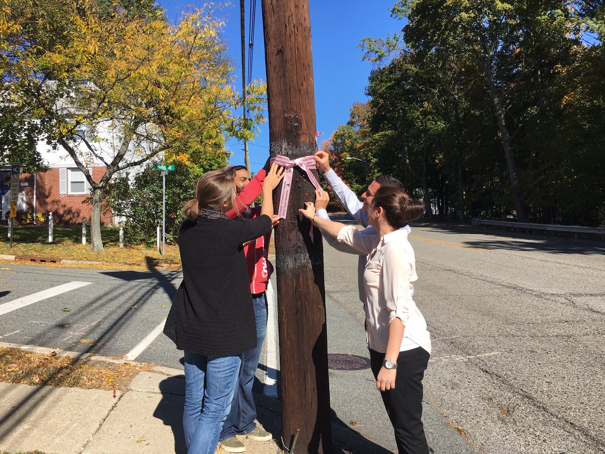 VCG_Times's tweet photo. Have you seen the pink ribbons around Cedar Grove? The @CGChamberComm put them up for #BreastCancerAwarenessMonth https://t.co/2liybjAc81