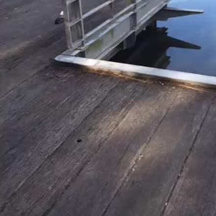 DeniseLitch's tweet photo. |REPLAY| 💫🔮🔑 Q and A Saturday- ask me anything.  #psychic#spiritual... #Periscope https://t.co/tHt4i6Bkbp https://t.co/VAe6jknv6Y