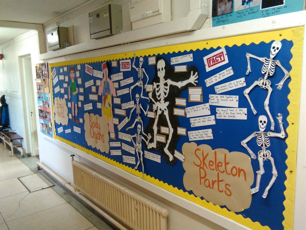 stbrigidsCmills's tweet image. Some recent displays on the corridors of @stbrigidsCmills #topicbasedlearning