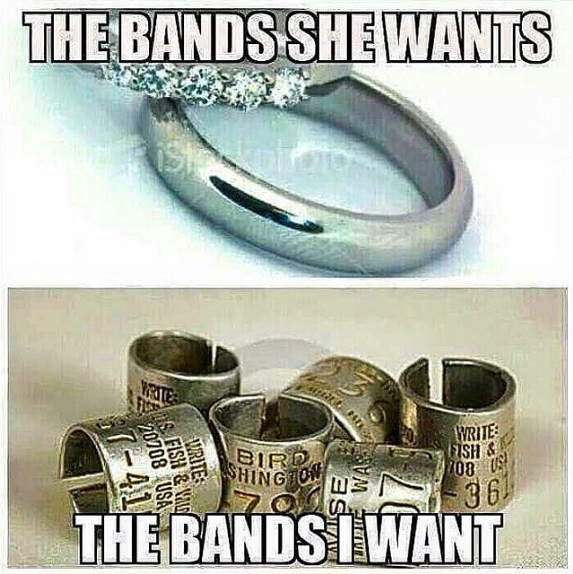 SDG_Calls's tweet photo. It's the truth!! https://t.co/9RzlBBT0VY