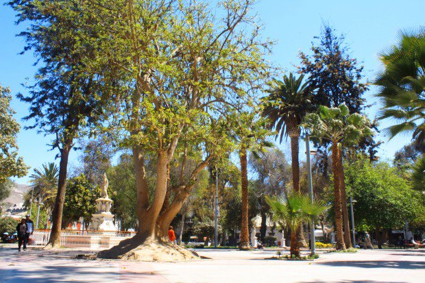 redatacama's tweet image. Copiapó entre las ciudades bajo el promedio nacional para estudiar, vivir y visitar
 ow.ly/TM91v