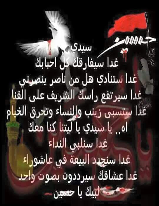 shiaa_ali tweet picture