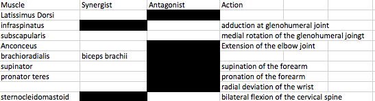 R_3PM_251Lab's tweet photo. Try filling out this chart! There are plenty of muscles to study, maybe add on shared origins and innervations? https://t.co/Rj3iyB8EiX