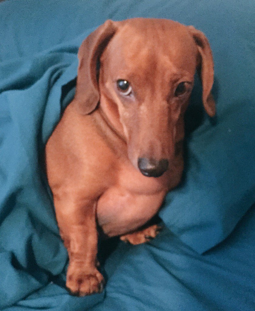 Happy Birthday (month) to me & my wiener!! 