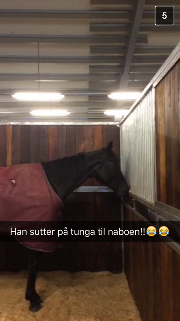 sofiekholt's tweet photo. Sjokko koser seg på spa❤️ #fordaluvachocolate #sundby #laderopptilsesongen2016 #mannenimittliv #teambowestergaard https://t.co/AVxO22xCWo