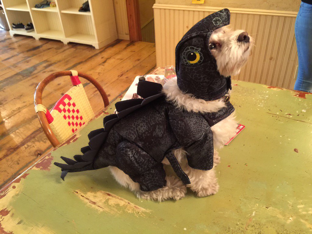 emmafreud's tweet image. But at least she really clearly loves this one. #Halloween