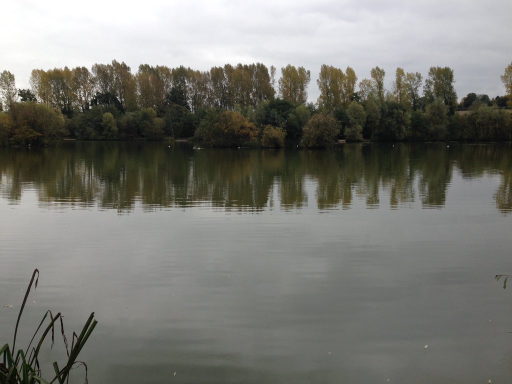 ValleyStour's tweet photo. What a lovely afternoon on Loggies Day Ticket Lake in Kent#topcarpwinterwater #stourValleyfishingcomplex https://t.co/K2GiM9VzYl