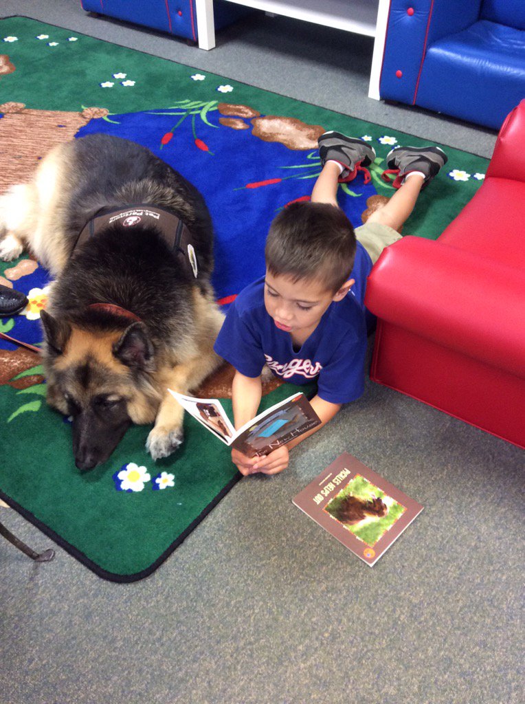 PearcyLibrary's tweet photo. It's Pearcy Paws Friday! Ss love to read to the dogs, and they love to listen. #pearcylearninglibrary https://t.co/tpvff6FFC0