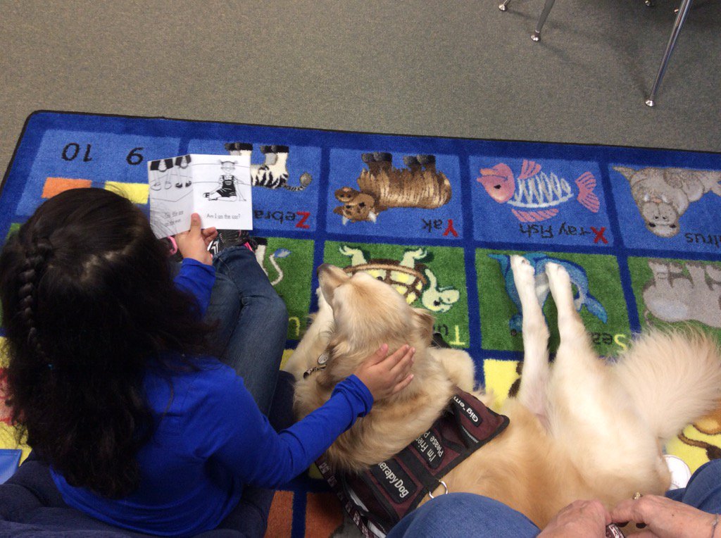 PearcyLibrary's tweet photo. It's Pearcy Paws Friday! Ss love to read to the dogs, and they love to listen. #pearcylearninglibrary https://t.co/tpvff6FFC0