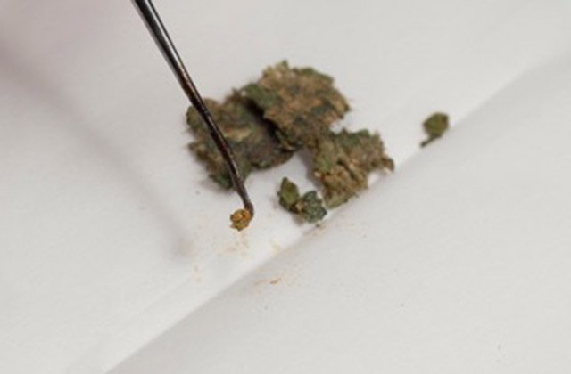 HIGH_TIMES_Mag's tweet photo. Seems Like The Perfect Weekend Activity To Us! #DIYDabs
https://t.co/expBdPdLlS https://t.co/SFsrVmsCc2