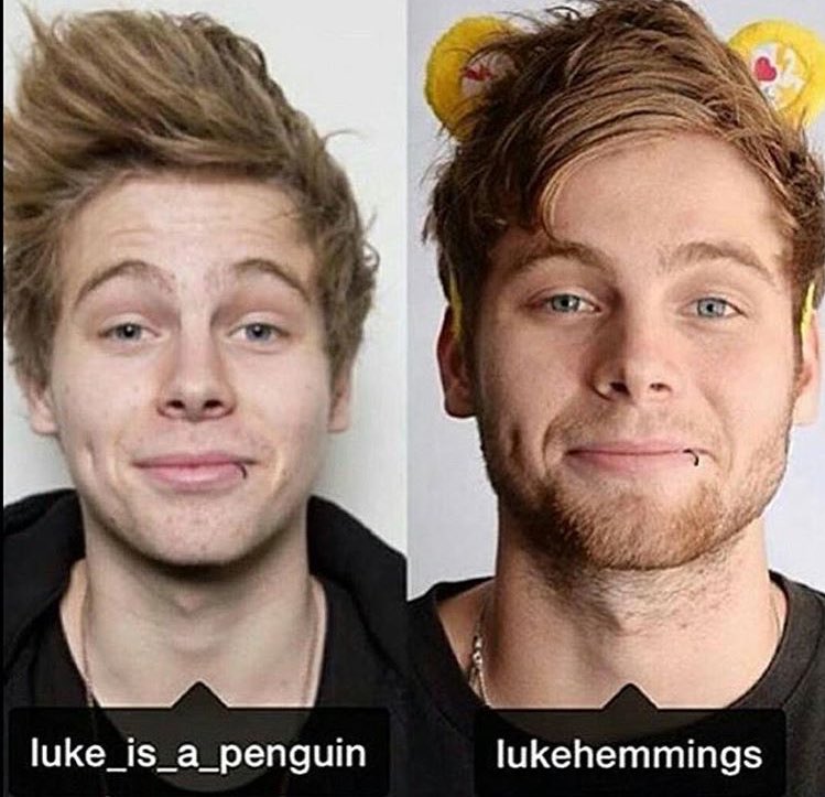 TheKenziNichole's tweet photo. In loving memory of luke_is_a_penguin #LUKEISAPENGUIN #LukeIsNotAPenguin π https://t.co/RWeADzEZB0