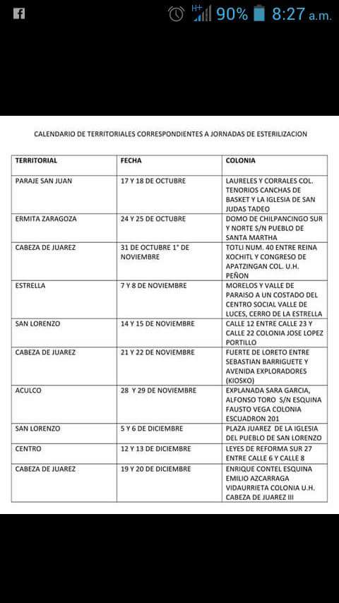 gurtubay77's tweet photo. Esterilización gratuita en iztapalapa https://t.co/vibPEEPRQk