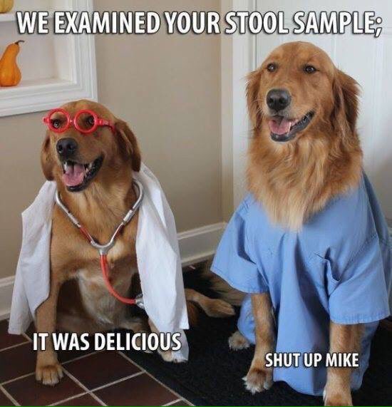 Les Medlicott tweet media