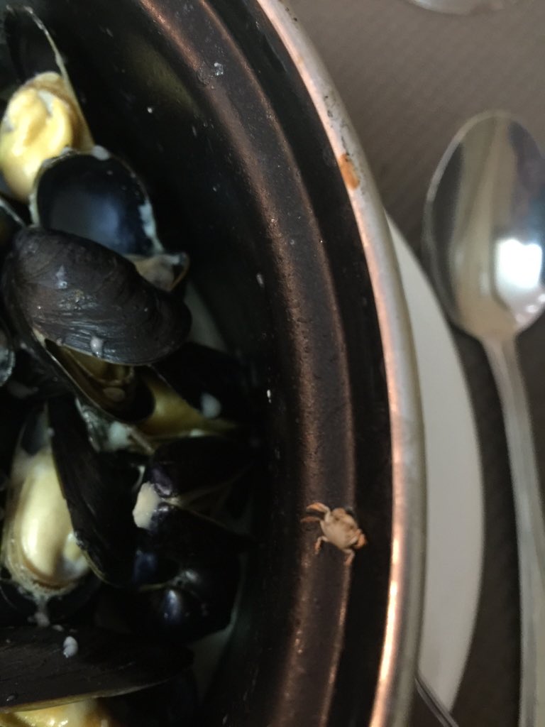 table_service's tweet photo. Snails, frogs legs and mini crabs in France! #TableService https://t.co/nf9IqGYymJ