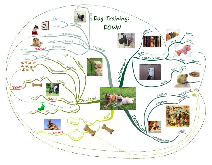 MindMapMad's tweet photo. MAPPYs: GENERAL Winner Kari Greaves: https://t.co/v3OqcDUssc
#mindmap @iMindMap @Biggerplate @Tony_Buzan #mindmapmad https://t.co/yYs4196zzx