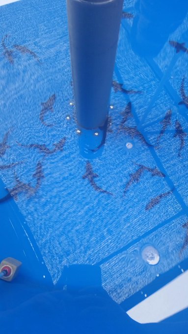 Switching tanks https://t.co/97c1qLs4Lf<a href="/tag/ass"class="tags"><span>#ass</span></a><a href="/tag/gotitfrommymama"class="tags"><span>#gotitfrommymama</span></a><a href="/tag/squatsdoabodygood"class="tags"><span>#squatsdoabodygood</span></a>