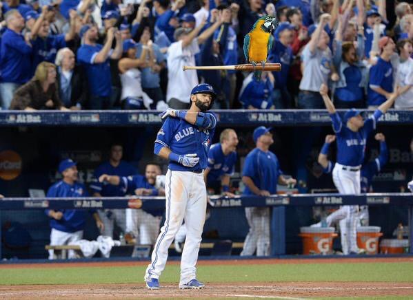 Joeys_BatFlip's tweet photo. I could've been flipped harder but I'll take it! @JoeyBats19 #BatFlip https://t.co/Do1qcTrjtw