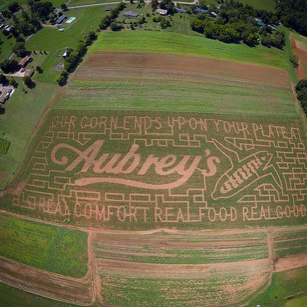 AskSeeWhy's tweet photo. Can your ad agency get your logo into a corn maze? Just sayin #aubreys #maplelanefarms #ey… https://t.co/jOfvQhjBKq https://t.co/I2K8D7p7ZY