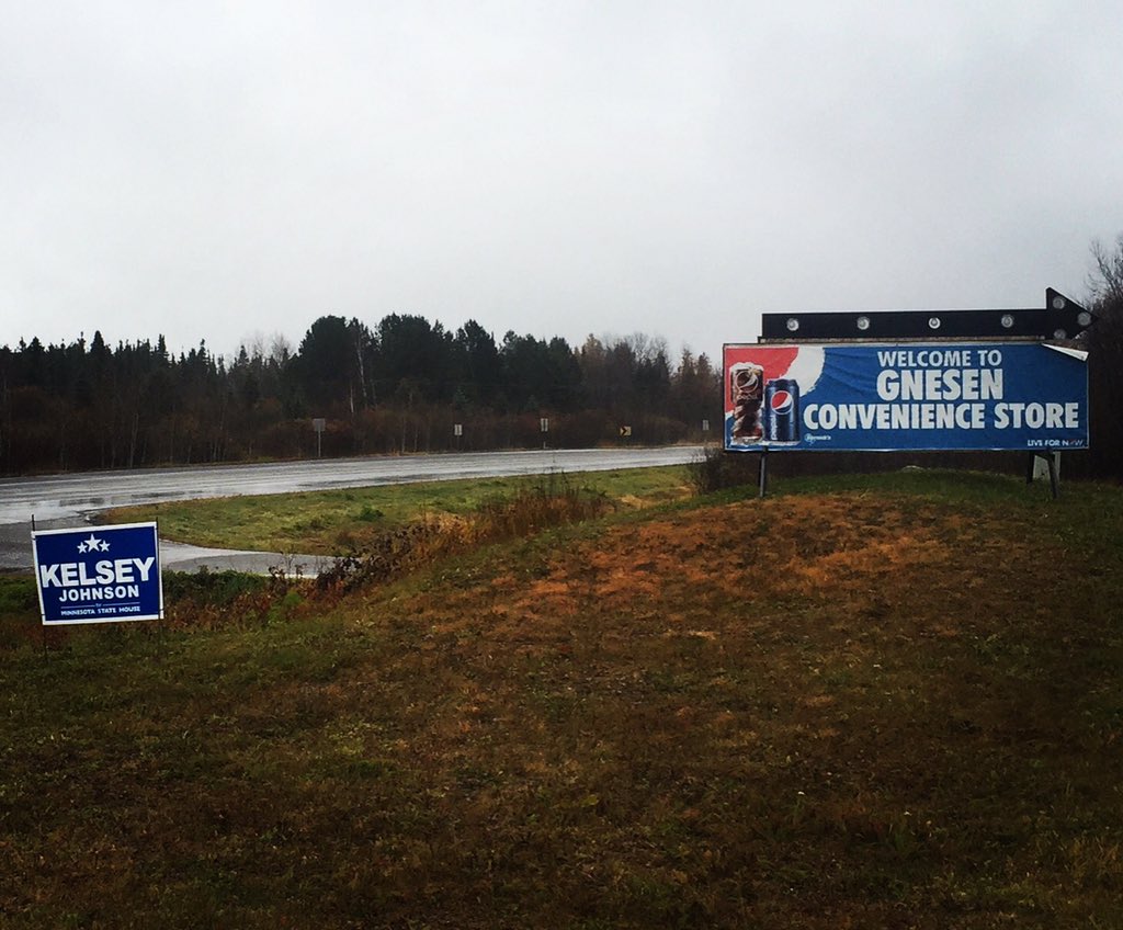 kelsaljohnson's tweet photo. Signs going up - momentum is building! #HD3A #peopleoverparty #kelsey4mn https://t.co/tb2LdhLfVN