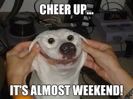 MillionDogsClub's tweet photo. Ready for the weekend? Check our dogs club and get a chance to win $50 Amazon gift card &amp; help dogs at the same time https://t.co/TnmrTeT6Ol