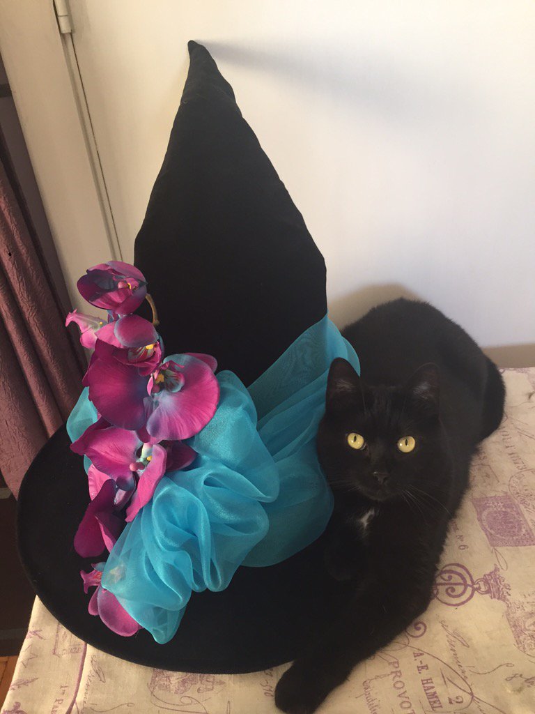 LanaPopovicLit's tweet image. Behold this quintessence of effortless Halloween flair. Looks way better on her. #catfashion #kittychic