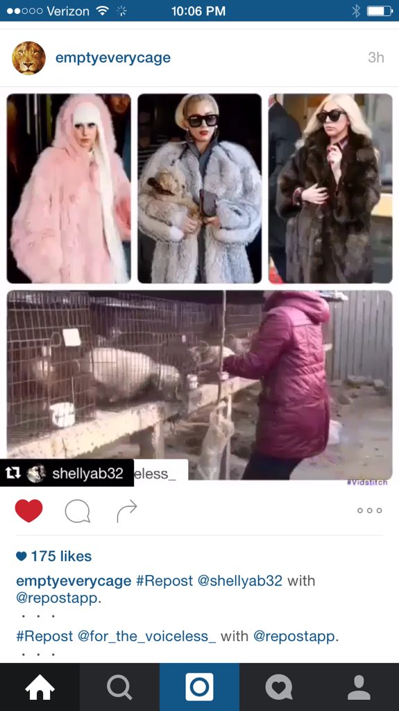 aModernMaverick's tweet photo. Stop glorifying fur @ladygaga please #ActOnCompassion #leadership now https://t.co/lAWa4sjkXh