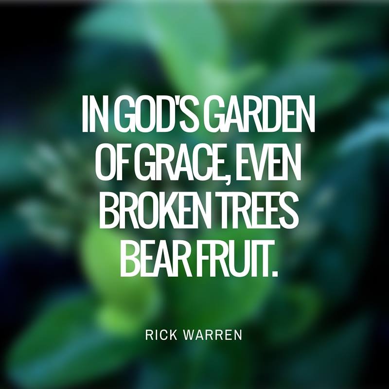 RickWarren's tweet photo. Think about this today:
In God's garden of grace, even broken trees bear fruit.

God can... https://t.co/Fs5y1IqGtI https://t.co/db2z7Qmaek