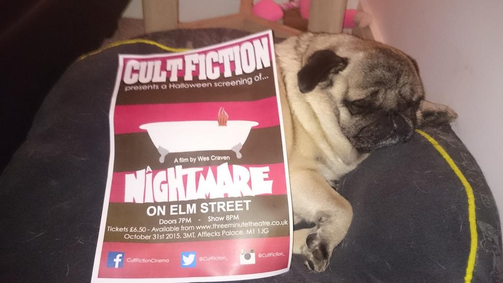Cultfiction_'s tweet photo. A Nightmare on Elm Street @3MT_Manchester @Afflecksfox this Halloween. Arnie the #pug has his tickets. Do you? https://t.co/AdVgdOK7DV