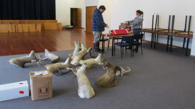 Stewart Island Lions Ball a beastly affair