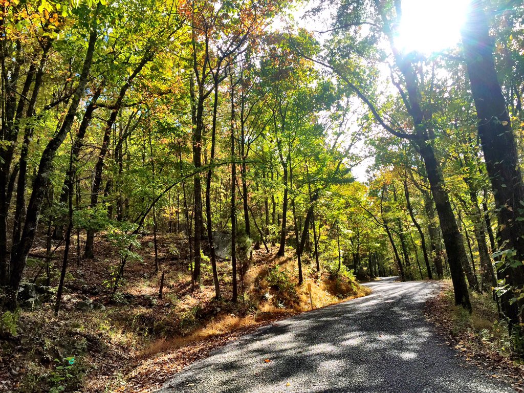 BrittonLynn's tweet photo. Incredible seeing God's work first-hand in nature.🍂
"O LORD, none can compare with you!" Psalm40 
#SweetHomeAlabama https://t.co/sBBE3JS5BG
