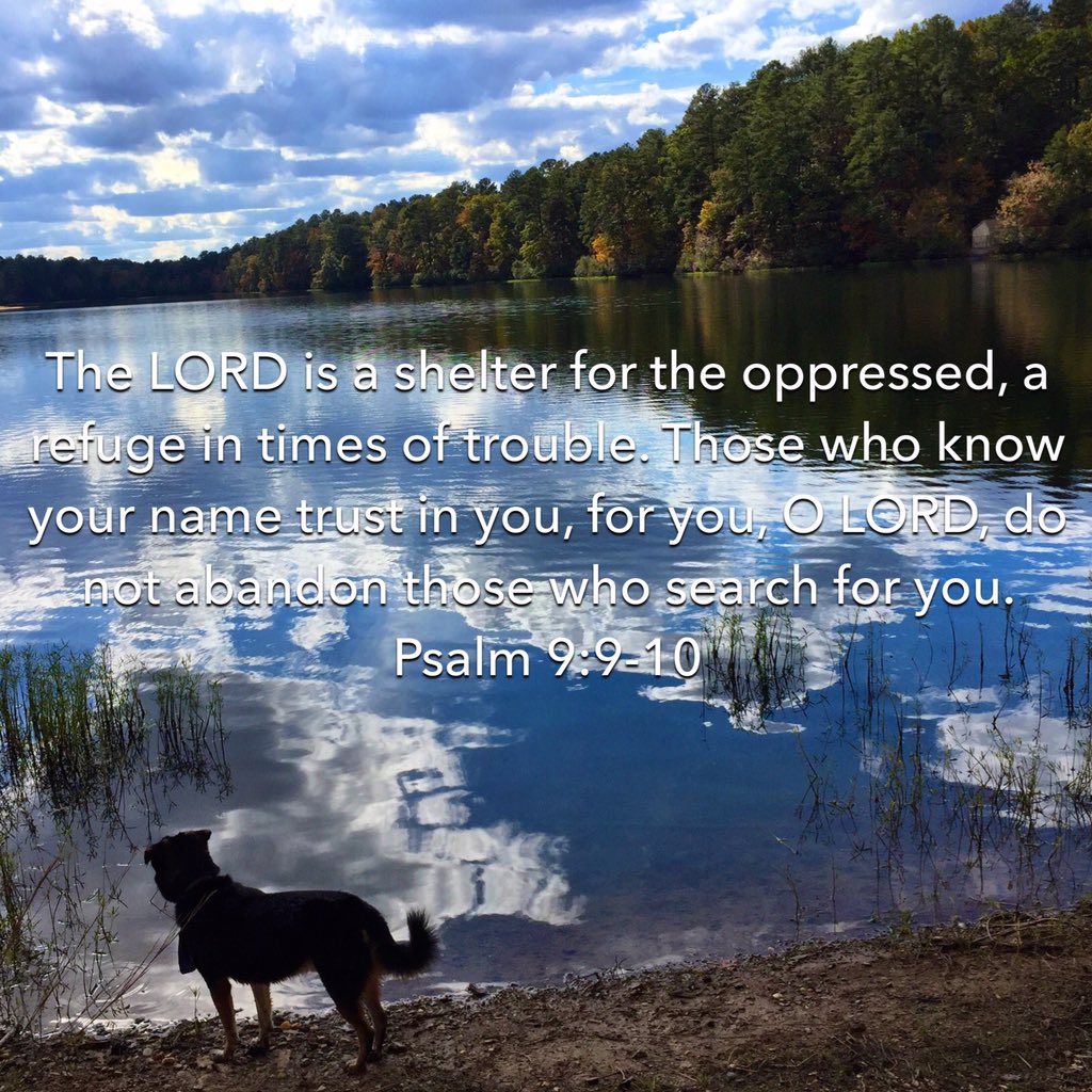 BrittonLynn's tweet photo. Incredible seeing God's work first-hand in nature.🍂
"O LORD, none can compare with you!" Psalm40 
#SweetHomeAlabama https://t.co/sBBE3JS5BG