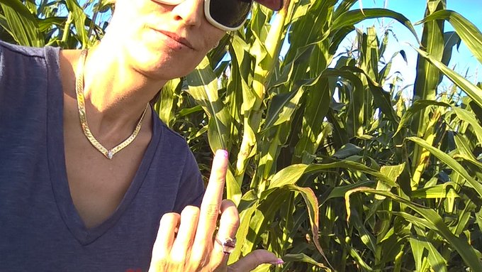 Enjoying a beautiful fall Friday eve in Carolina. Pumkin pickin 🎃 https://t.co/xiaStZ3Hkk