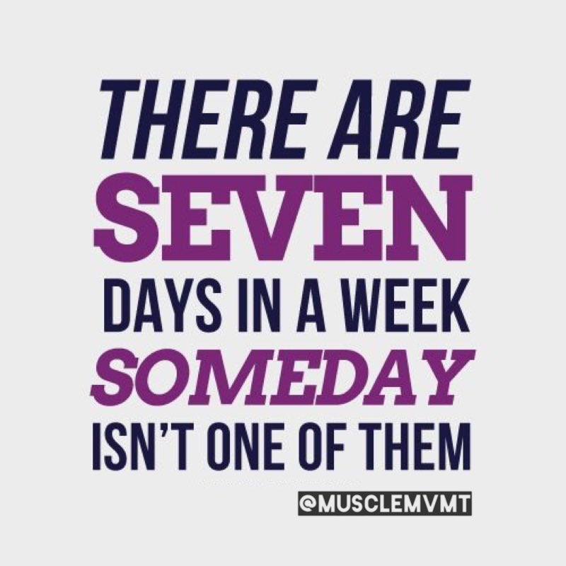 musclemvmt's tweet photo. There are seven days in a week... Someday isn't one of them.

Today is your day to grind❗️

#getfit #livefit #befit https://t.co/Y1jZWBS4OT