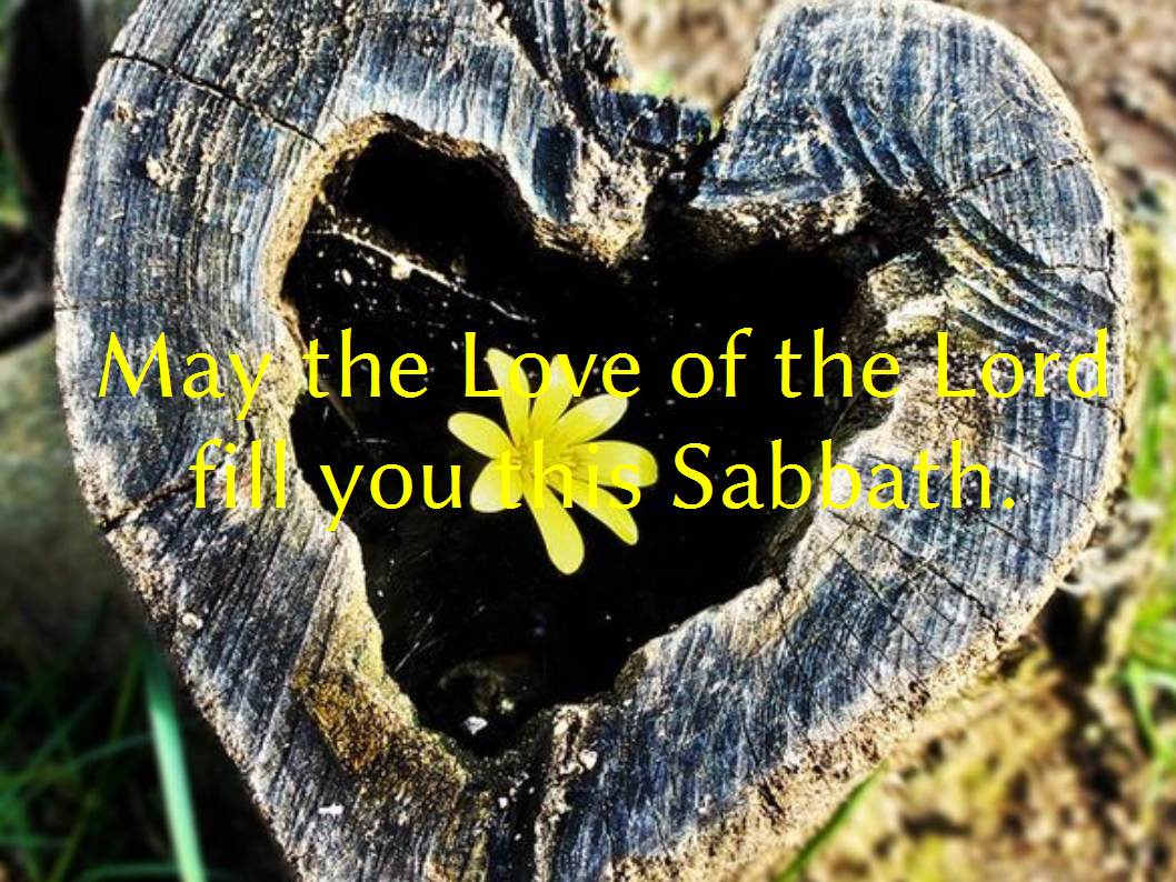 Revive_Reform's tweet photo. May we pray without ceasing until God pours His Spirit is great portion upon us during these Sabbath hours! #UIP20 https://t.co/EhcdauEyAT