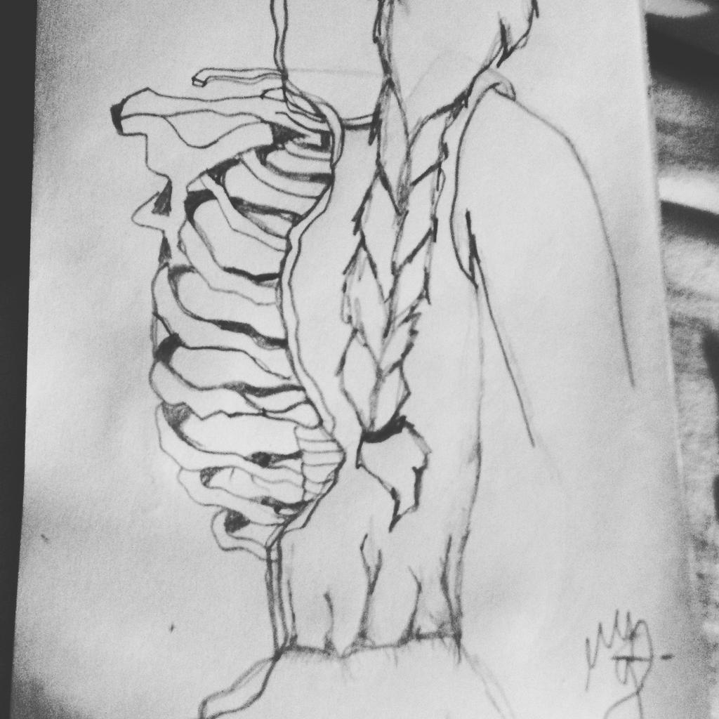 _Snitchy_'s tweet photo. Maybe one of my favorites draws....#Squeleton  #FridayFeeling https://t.co/qV6wQoQvrF