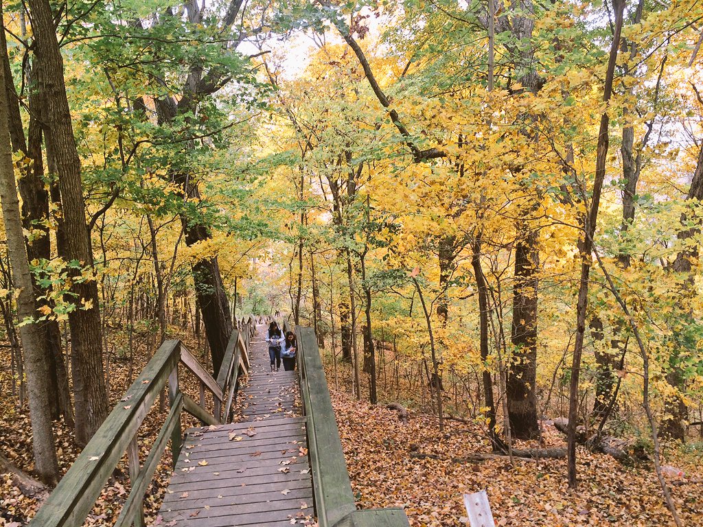 aids_schmitty's tweet photo. A forest on fire
Yet cold like ice
Leaves
Falling like snow 
#fall #autumn #kickapoostatepark https://t.co/QQWPIJUAwg