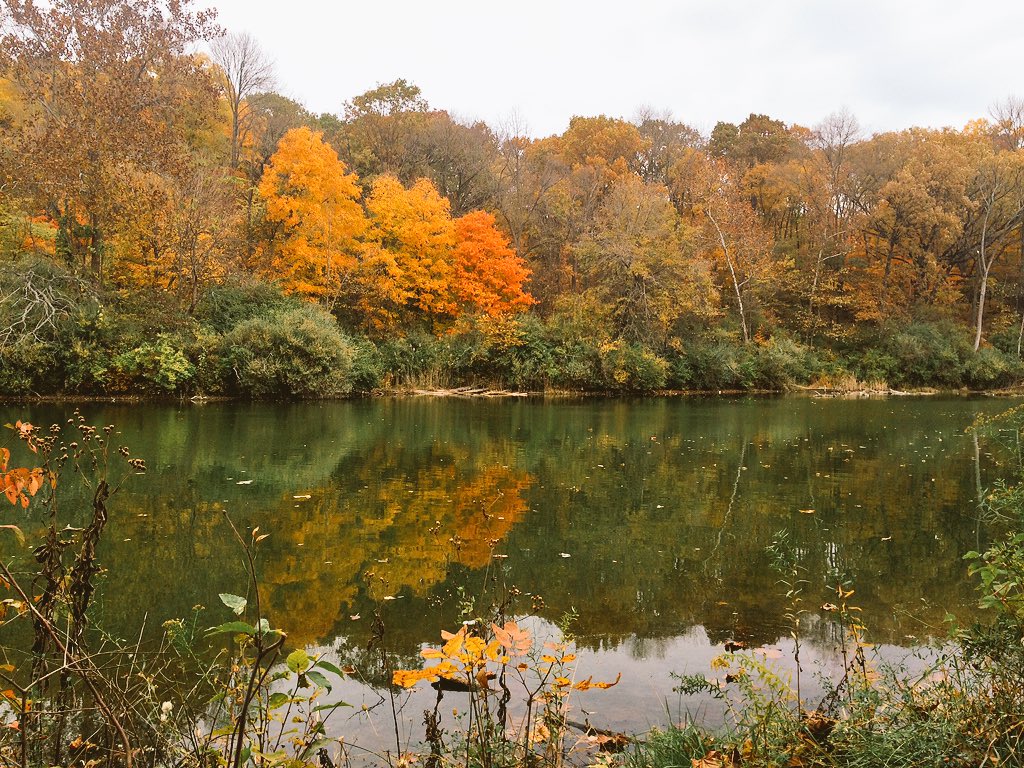 aids_schmitty's tweet photo. A forest on fire
Yet cold like ice
Leaves
Falling like snow 
#fall #autumn #kickapoostatepark https://t.co/QQWPIJUAwg