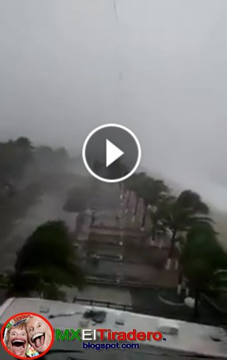 #FuerzaJalisco 

Ver vídeo: goo.gl/adn6Hl