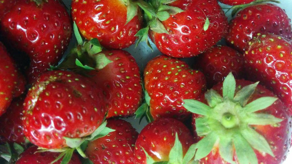 ChefBariffo's tweet photo. Fresas de Aranjuez en pleno Octubre en @invernaderobox ........Que lujoo!!!! https://t.co/eES8edccH7