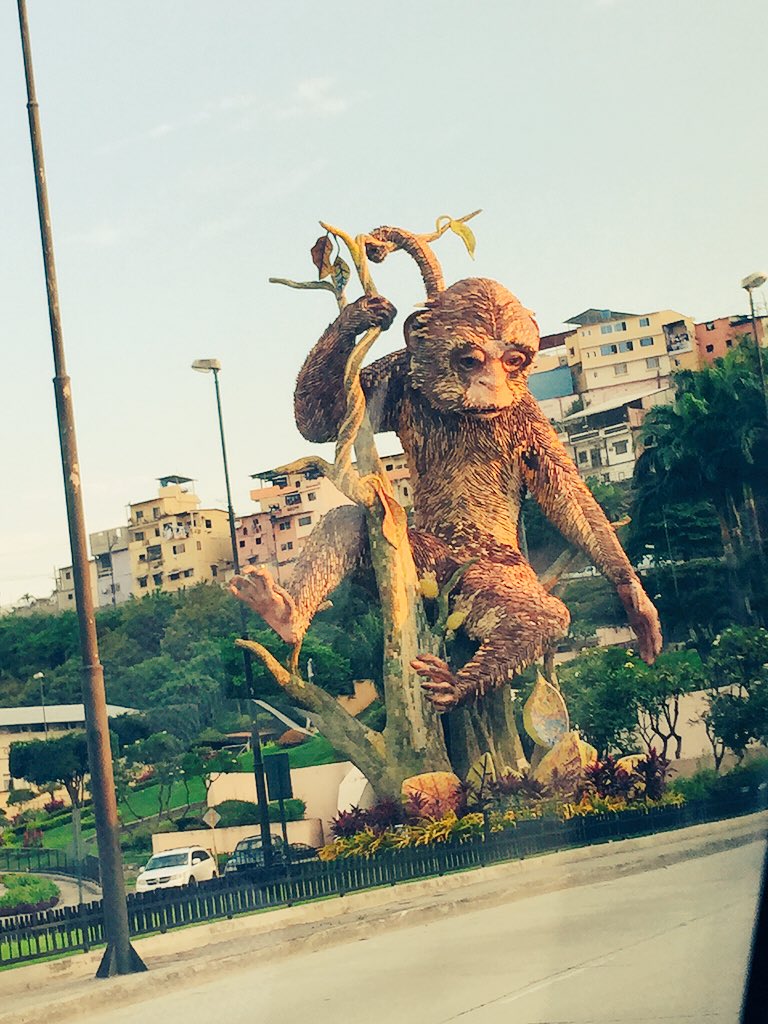 Hermoso el Mono Capuchino que está en la entrada del túnel en Guayaquil.  Recorriendo la ciudad #atardecer #Guayaquil, image size:768x1024