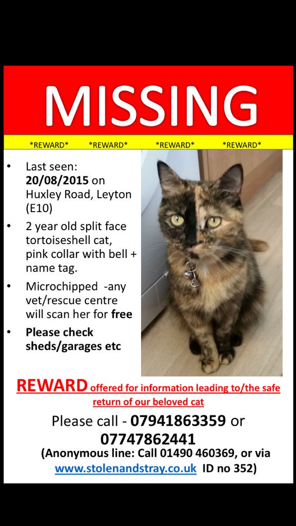 Hannah__Marie__'s tweet photo. @LeytonTechnical Still missing, over 9 weeks now. Leyton E10. Microchipped, pink collar#missingcat #leyton #e10 https://t.co/oj8jNjbv5W