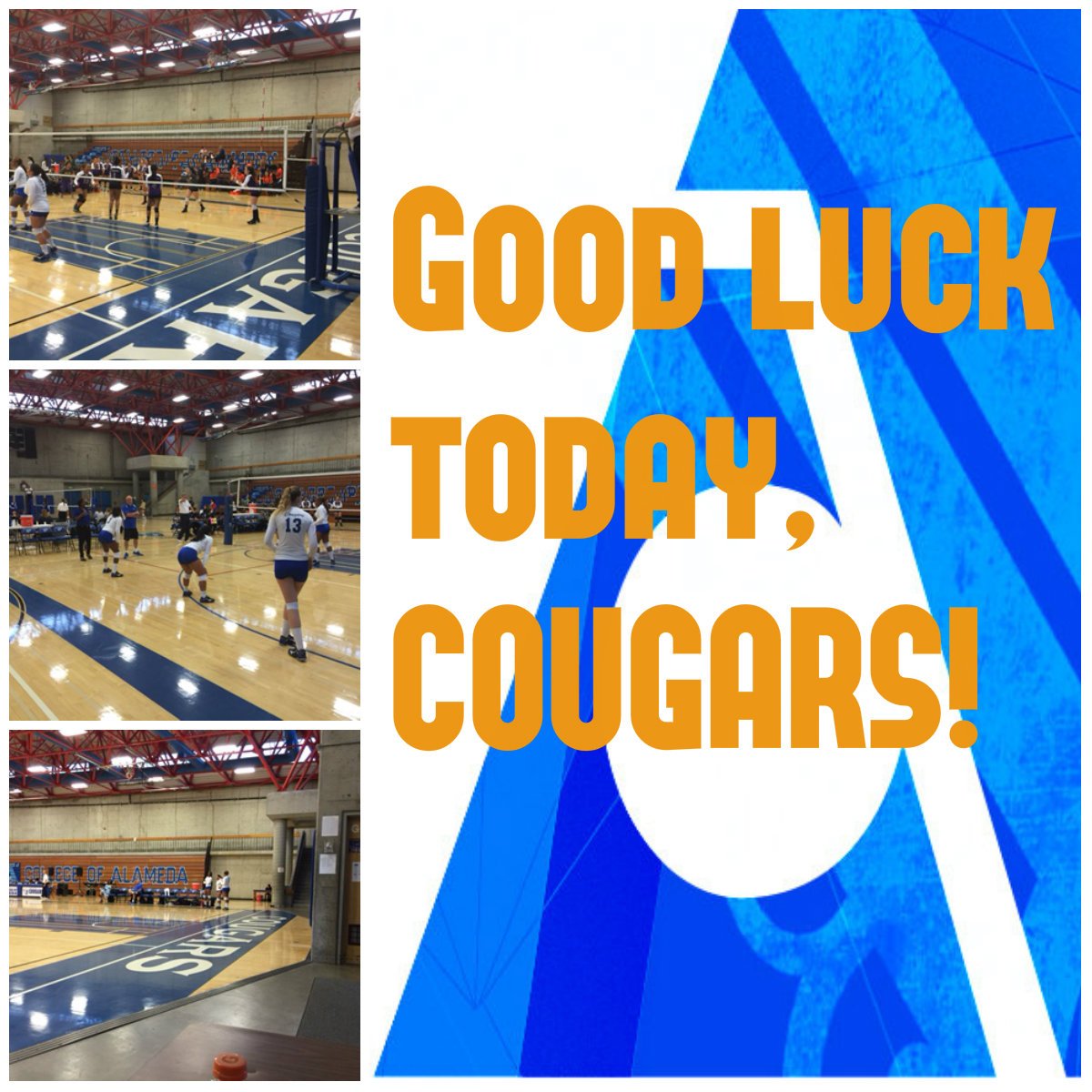 College of Alameda on Twitter "Volleyball CollegeAlameda Cougars vs