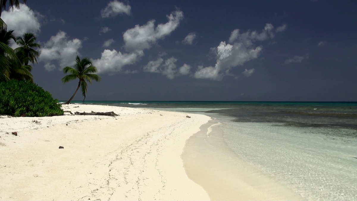 NatureCastApp's tweet image. Are you a beach person or a mountain person? We have #naturevideos for both!