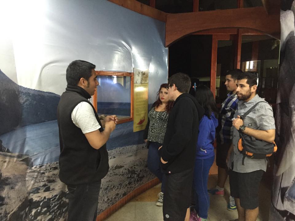 MPaleoCaldera's tweet photo. @museomedianoche  @municaldera  @turismocaldera @NoticiasUDA Una linda noche para venir al museo!! https://t.co/0JpQrpth3S