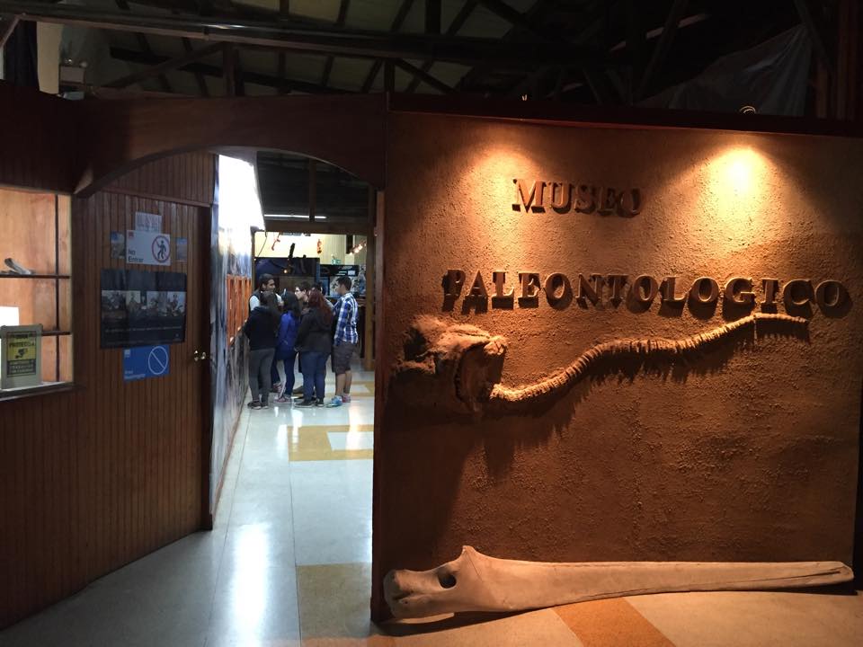 MPaleoCaldera's tweet photo. @museomedianoche  @municaldera  @turismocaldera @NoticiasUDA Una linda noche para venir al museo!! https://t.co/0JpQrpth3S